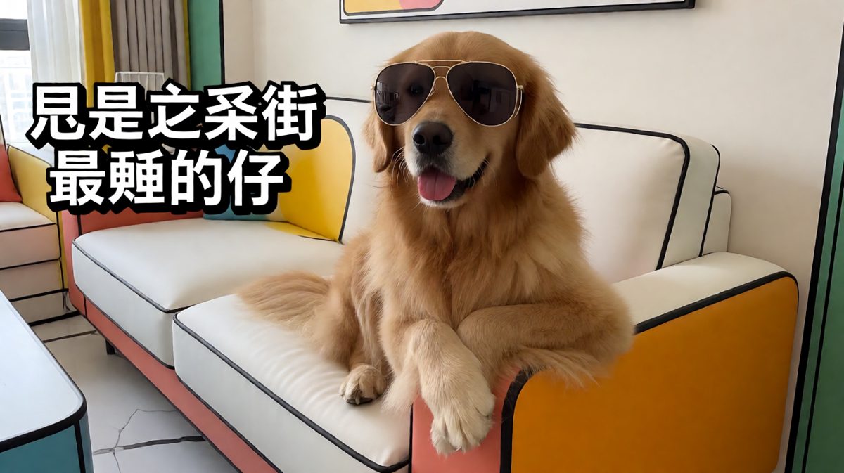墨镜一戴，谁都不爱。
