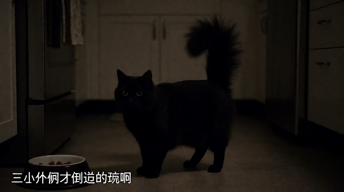 对猫来说，空碗=饥荒，即使三小时前刚加满过。