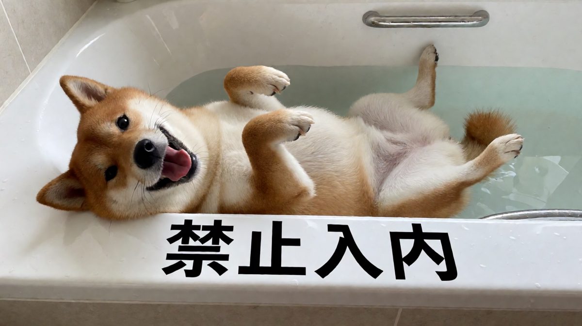 谁说浴缸不能当床的？我批准了。