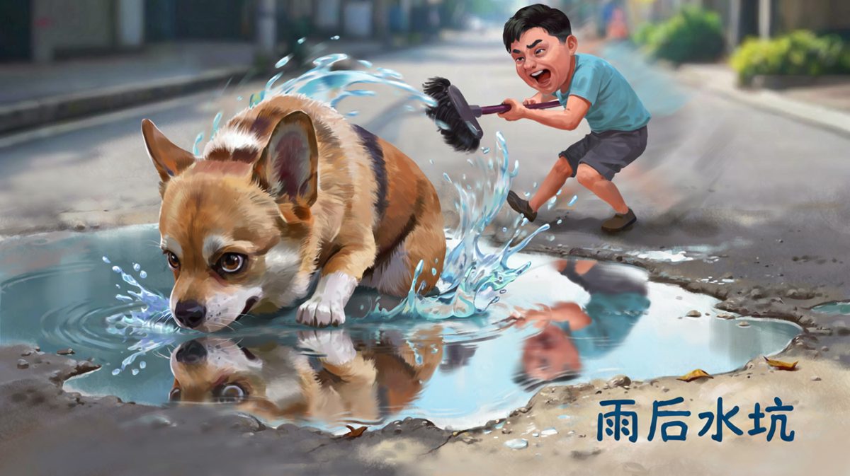 柯基：这水坑是我的，谁也别想抢！