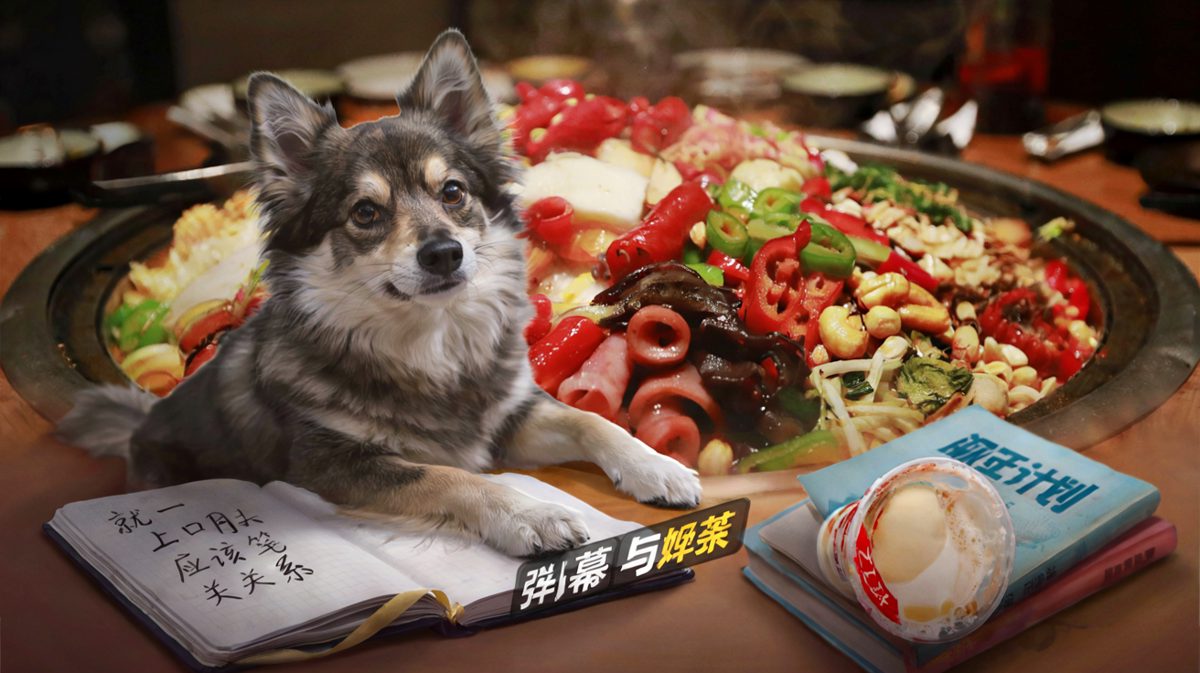 减肥是明天的事，今天先吃饱。