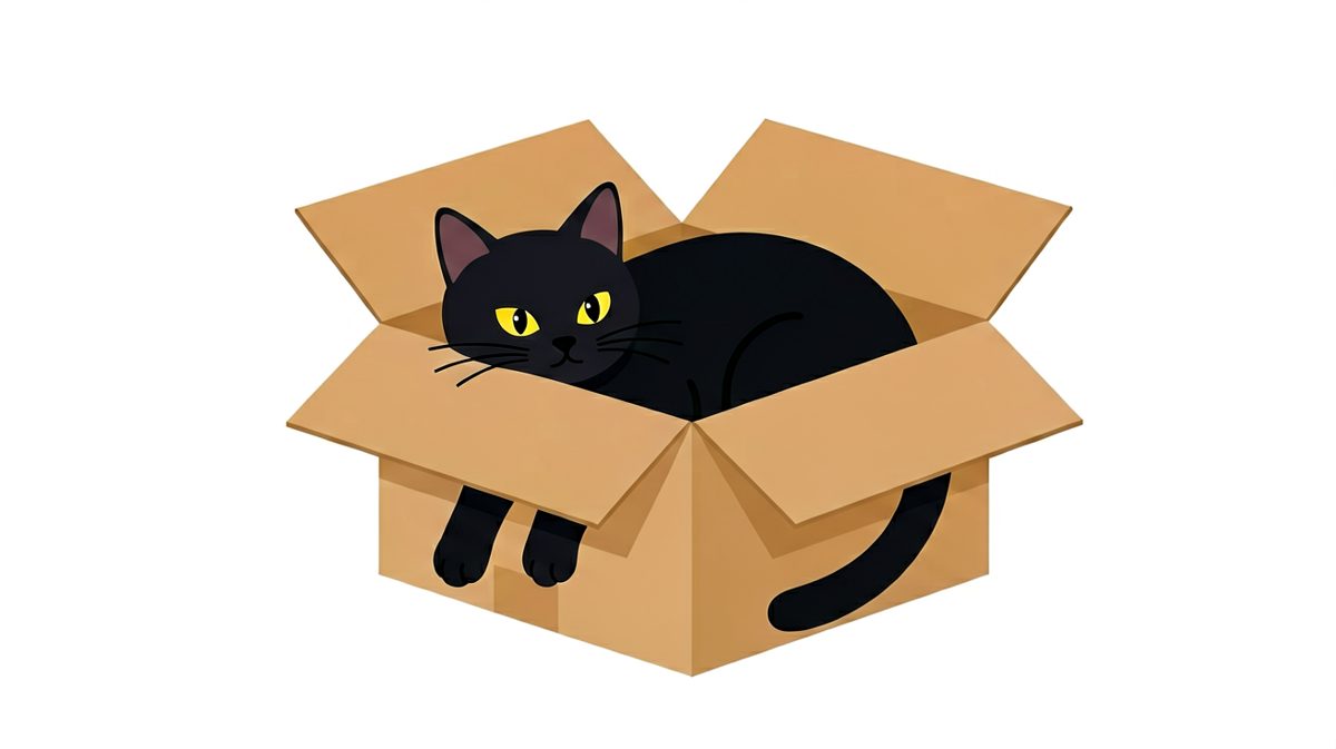 猫：只要我足够扁，这个箱子就是为朕量身定制的。