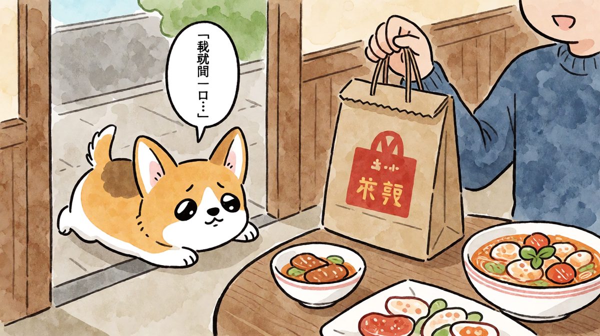 柯基眼巴巴看着主人吃饭的心碎现场